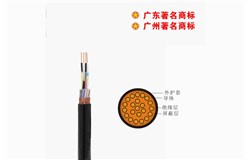 DJYVP -300/500V控制電纜 DJYVP -300/500V控制電纜